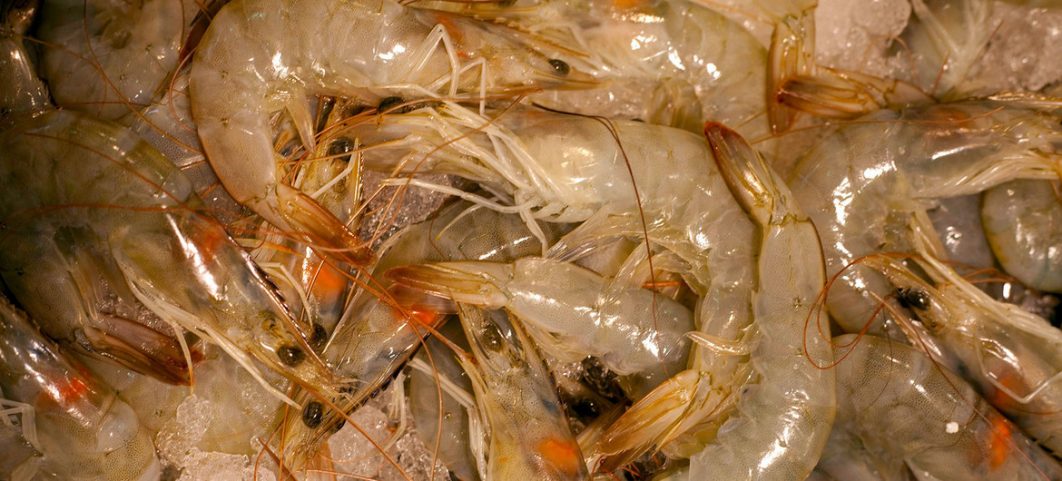 Food Hero: Cameroon’s shrimp entrepreneur