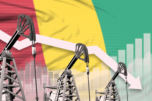Guinea-Conakry Deserves a Just Energy Transition and More Oil and Gas Investment During the MSGBC Oil, Gas and Power Forum in Dakar