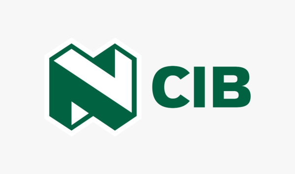 Nedbank Corporate & Investment Confirms as the Official Energy Transition Partner for African Energy Week in Cape Town