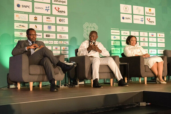 Developing African Petroleum Value Chains