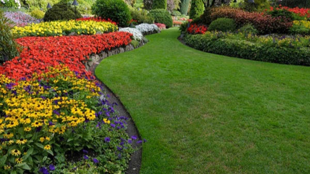 Gardening-6
