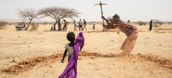 Bringing dry land in the Sahel back to life