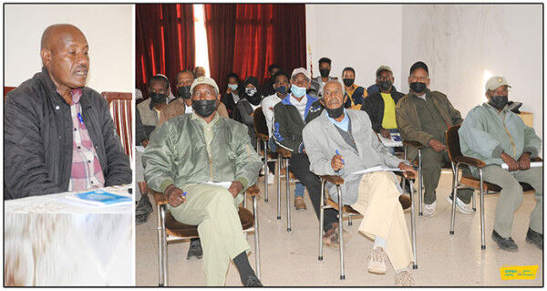 Eritrea: Over Three Million Tree Seedlings Planted