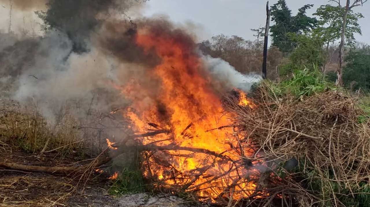 Burnt-farm