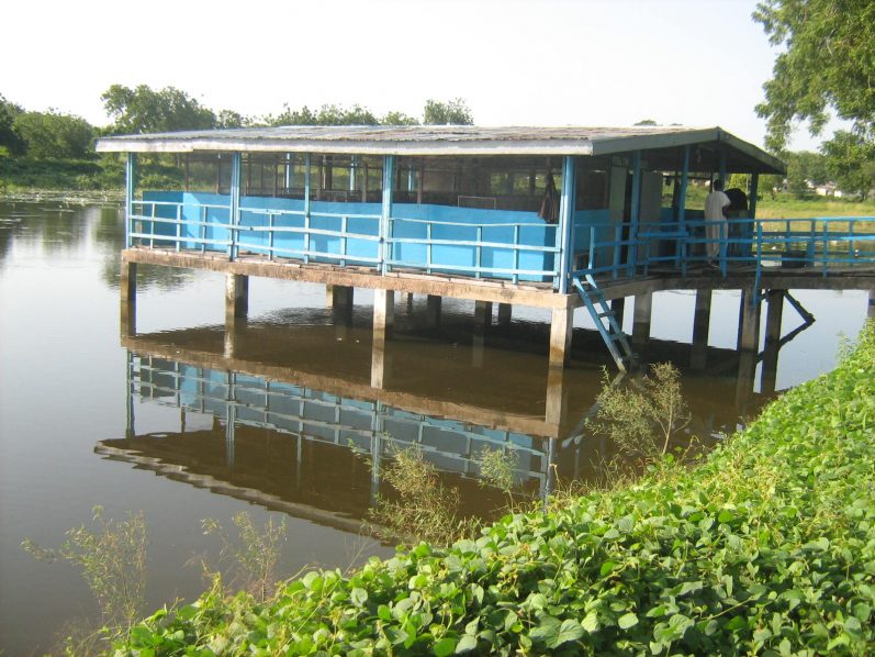 CHICKEN-FISH FARMING