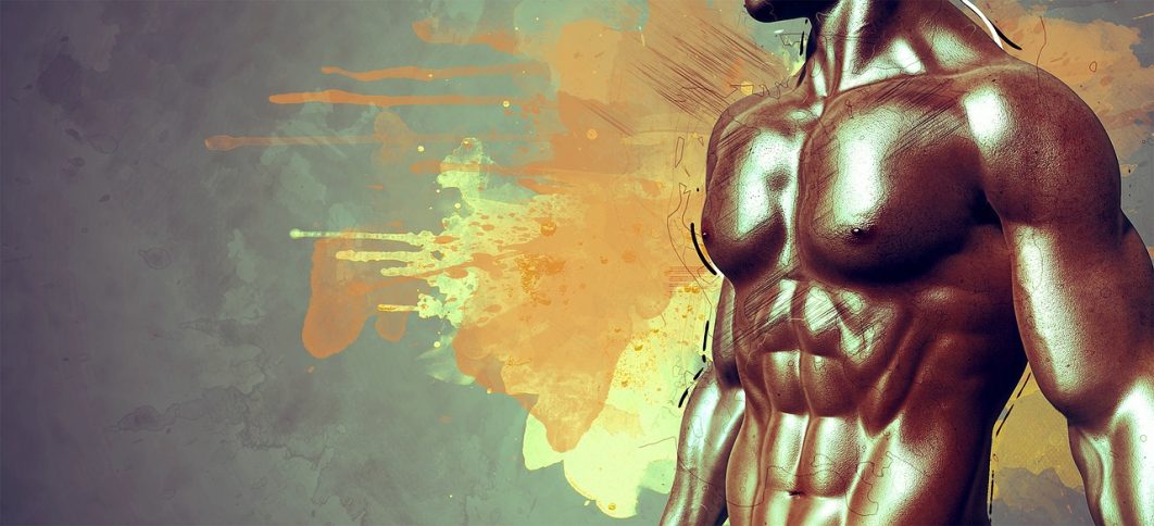 muscles-g1bc23f38c_1280