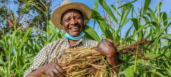 Seeds of change in Kenya as farmers lead way on tobacco-free farms