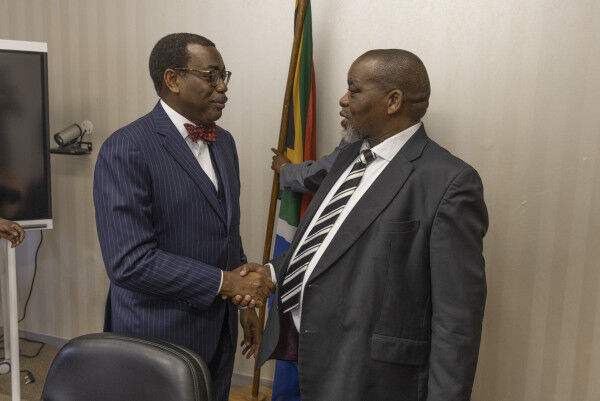 South Africa’s energy transition needs full financial support, says African Development Bank Group President
