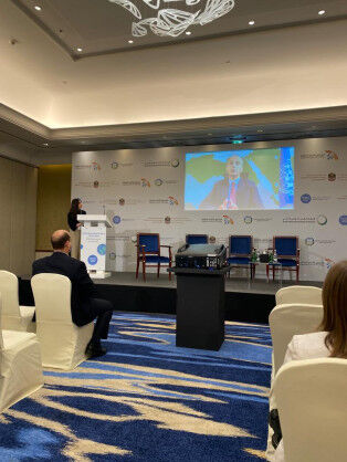 UN-Habitat, ICLEI discuss nature-based solutions during MENA Climate Week