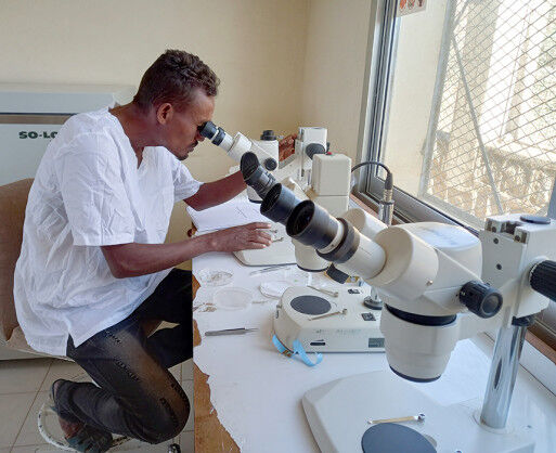 Eritrea: Entomology center exerting commendable activities