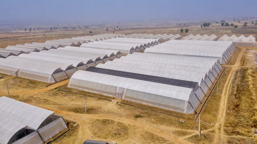 Dobi AgriCo Greenhouses A