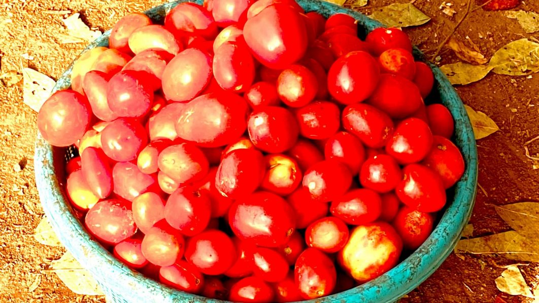Tomato