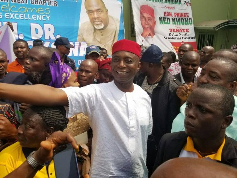 Ned Nwoko