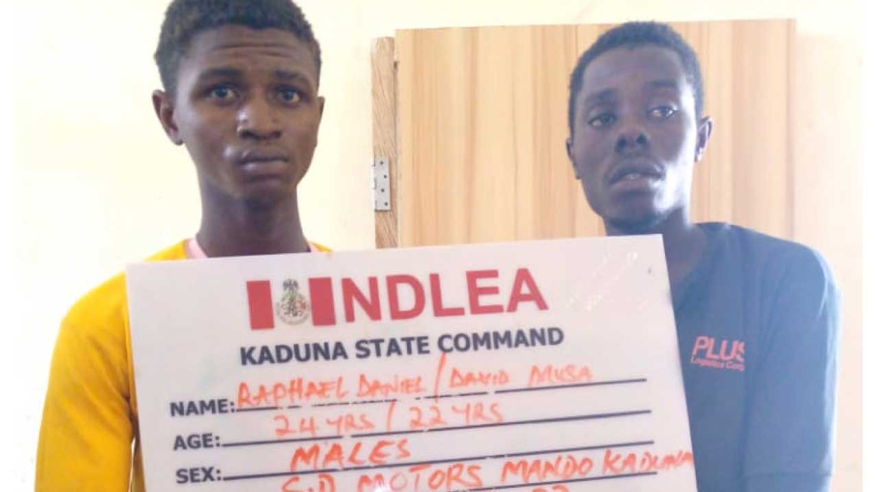 Daniel-and-Musa