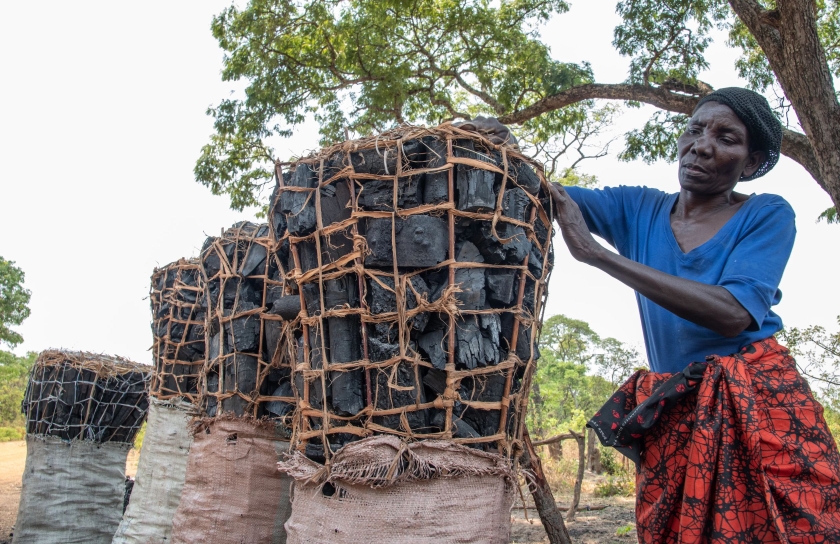 The race to save Zambia’s wetlands