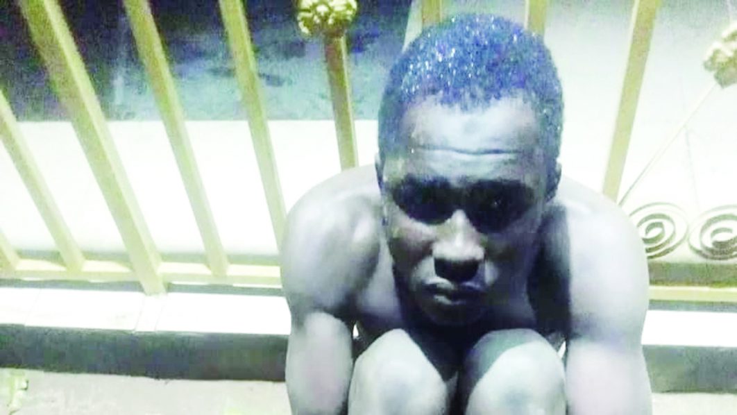 Suspeted robber