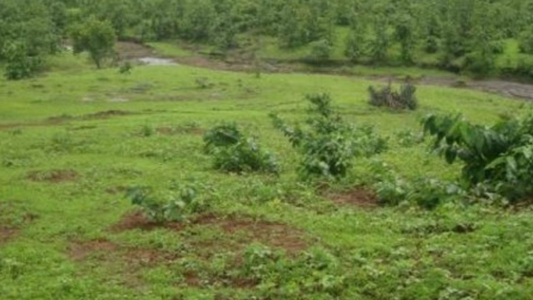 land