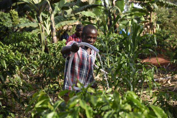 Global Environment Facility approves $18 million to support FAO-led projects in Africa and Latin America