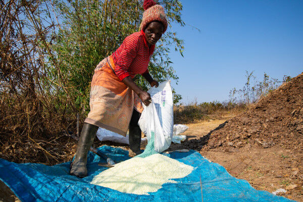 Ghana: Africa Fertilizer Financing Mechanism Extends $2M to ETG Inputs Ghana Limited to Boost Farmers’ Access to Fertilizers
