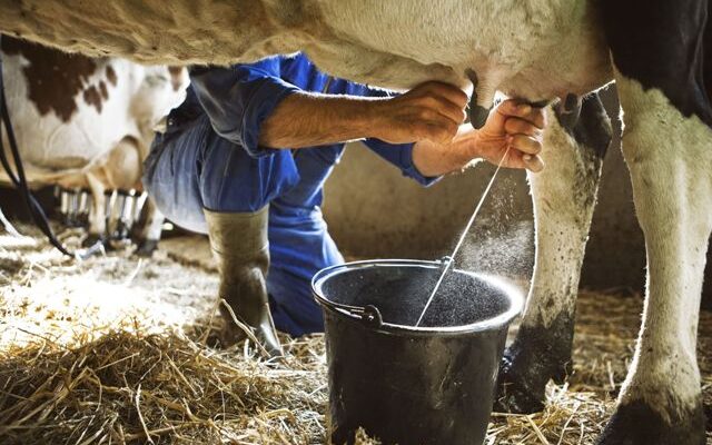 Milk-supply-640×400