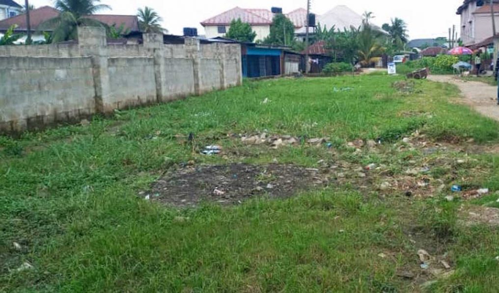 Neglected-road