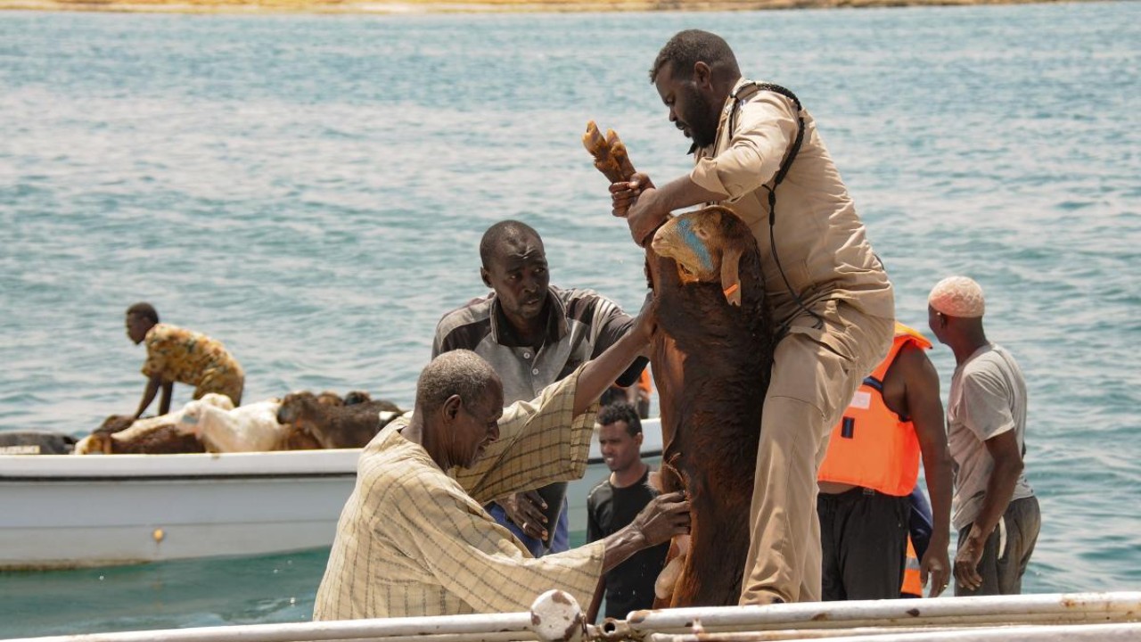 file7lelbd43yef91xx43ge-1-1117566-1655047738