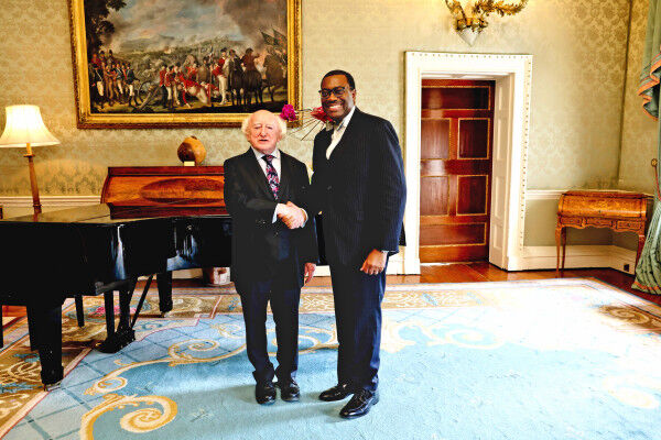 Invest More in Africa—Akinwumi Adesina Urges Keen Irish Business Community