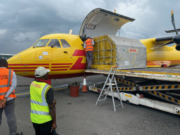 DHL Express Delivers Chimpanzees to their New Home in Liberia