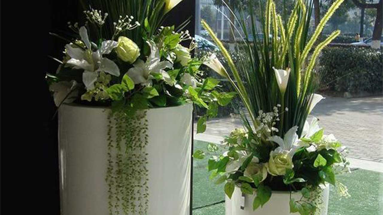 Potted-flowers-2