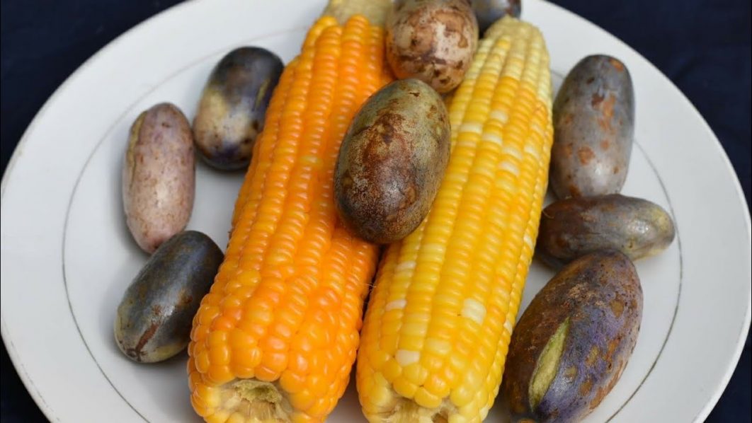 corn