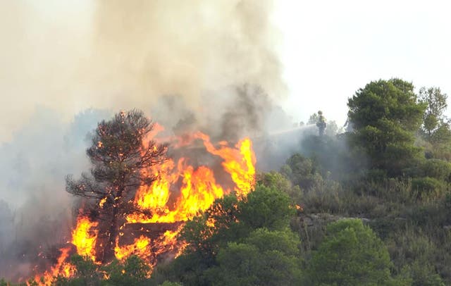 spain-wildfire-4