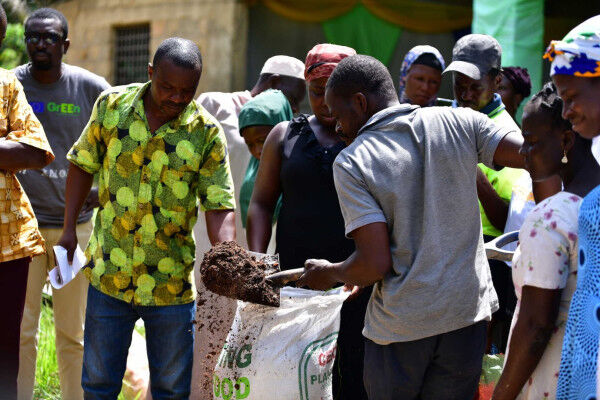 Nature Based Solutions Make Economic and Environmental Sense for Farmers in Ghana