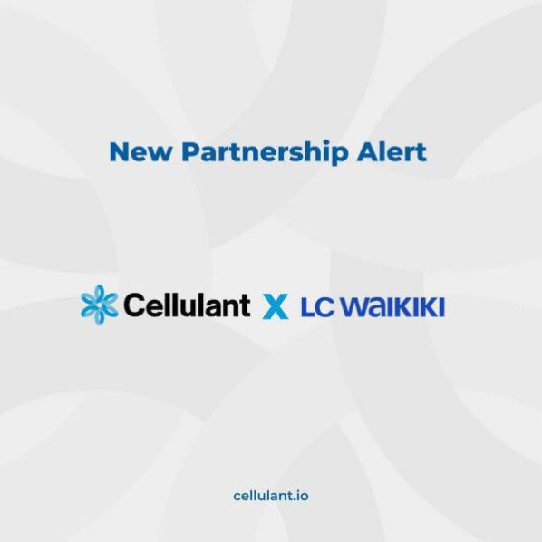 Global Retail Brand LC (Les Copains) Waikiki Joins the Tingg by Cellulant Digital Payment Ecosystem in Zambia