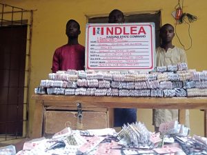 ndlea