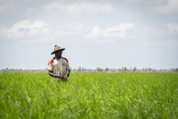 African Development Bank Group Extends €63.6 Million Loan for Agro-Processing Project in Senegal