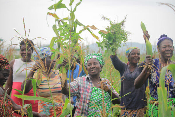 In Togo, the African Development Bank-supported Agro-Food Processing Project hits its stride