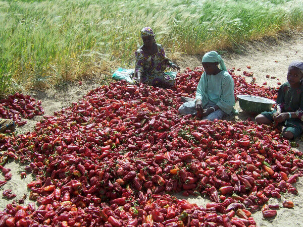 Democratic Republic of Congo: African Development Fund provides grant of $12 million to develop the financial market and drive financial inclusion