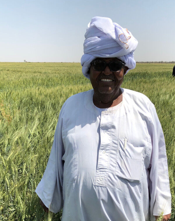 Sudan: African Development Bank Group commits nearly $74 million to boost wheat production