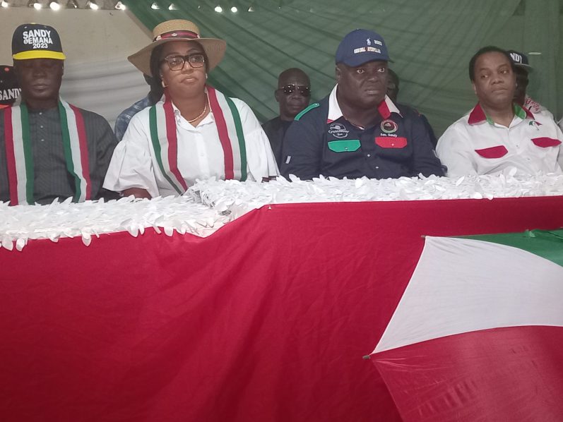 Cross River PDP candidate Sen. Sandy Onor