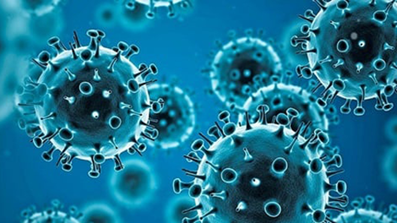 coronavirus-2.tmb-479v