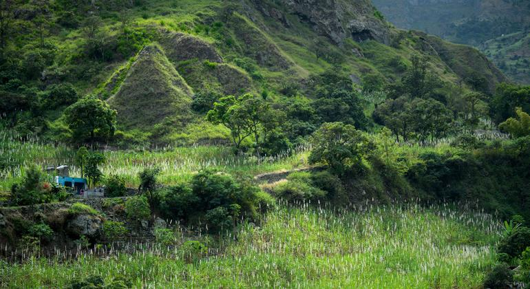 In drought-stricken Cabo Verde, UN chief finds hope for creating sustainable oasis