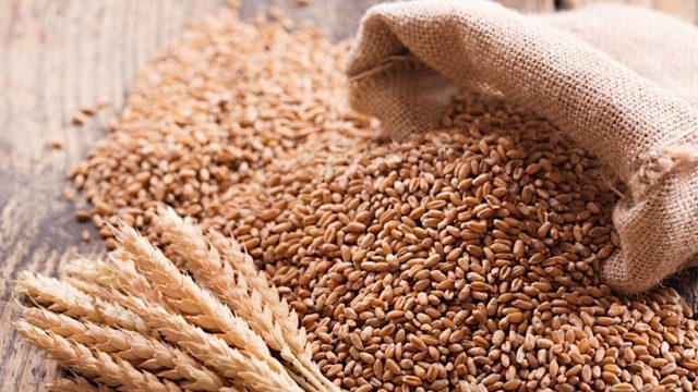 Wheat