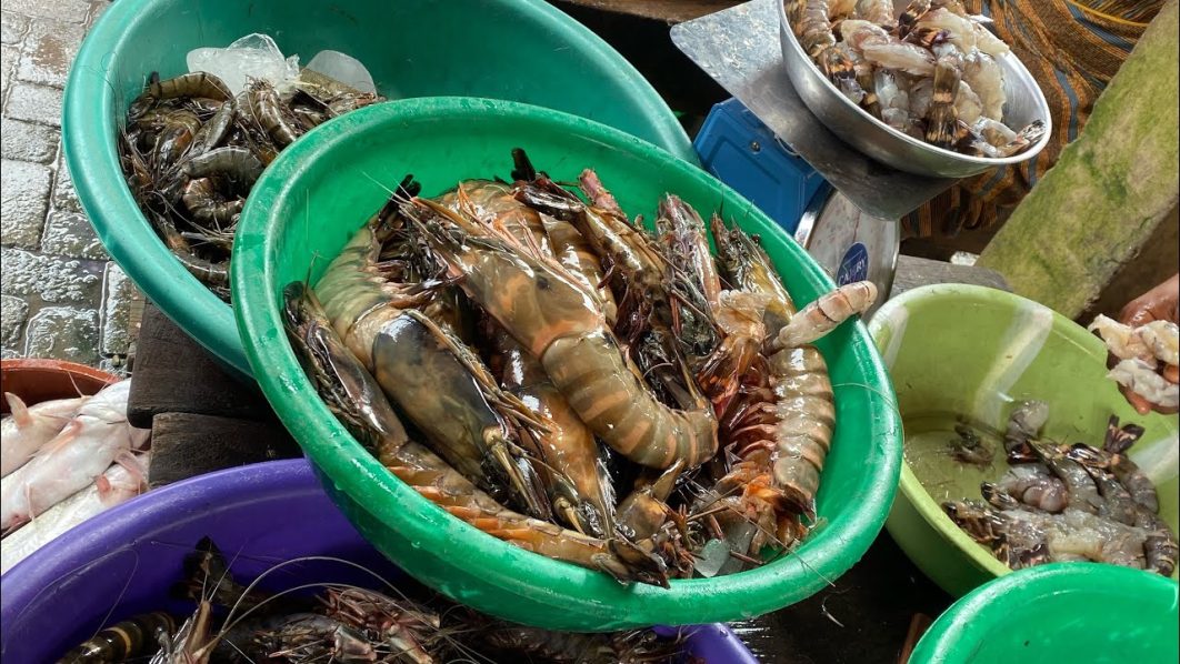 shrimps