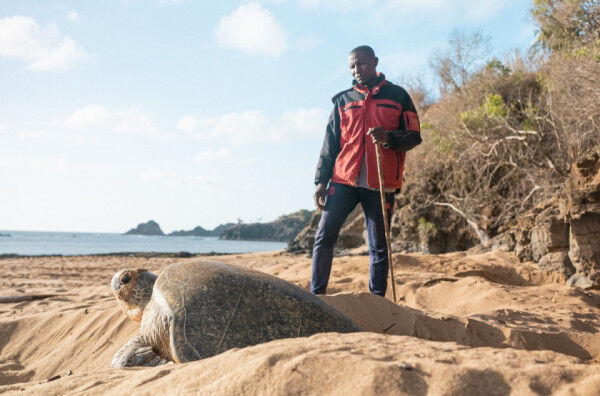 Small island states fight back against nature loss, climate change