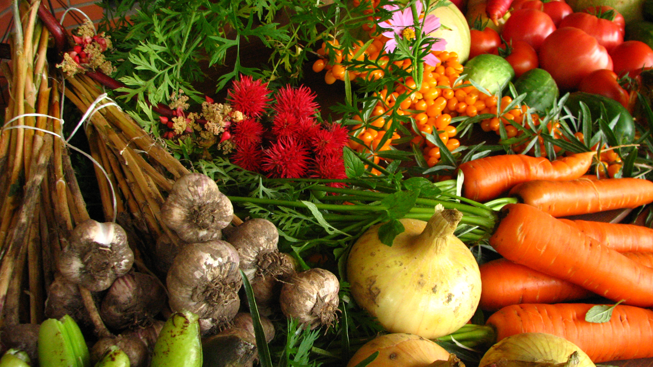 Ecologically_grown_vegetables