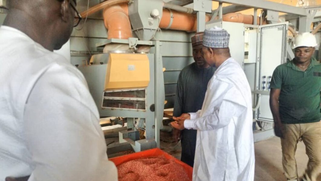 kebbi-flour-mill copy