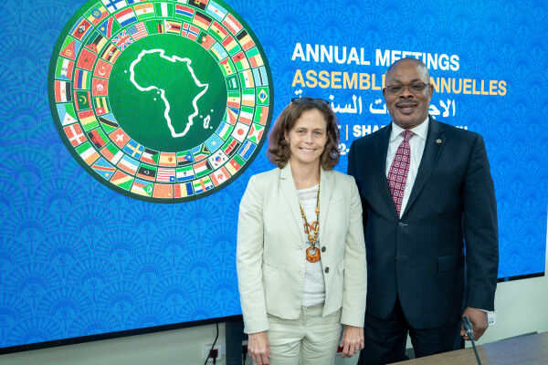 Private sector crucial to overcoming Africa’s critical investment gaps – African Development Bank