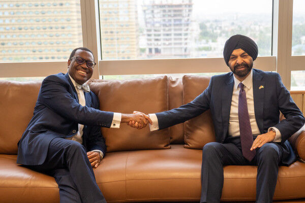 African Development Bank advocates for strengthening the role of multilateral development banks beyond financing