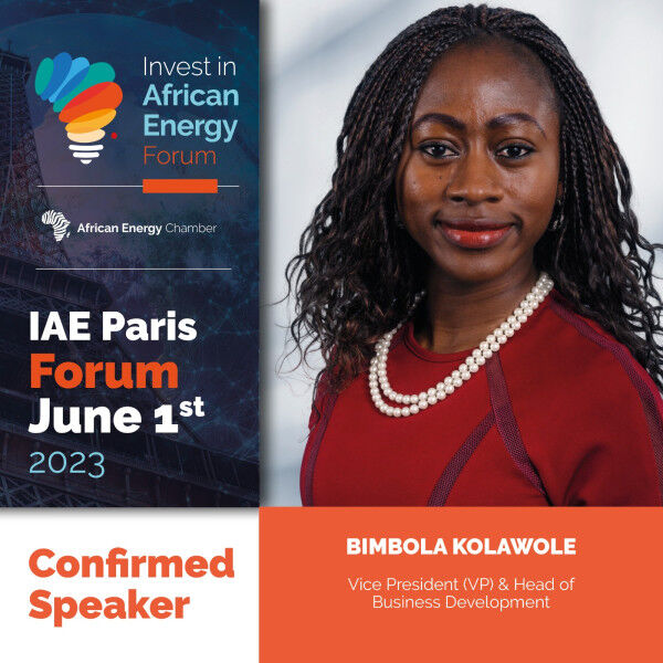 Rystad Energy’s Vice President (VP) and Head of Business Development – Africa to Speak at Invest in African Energy Forum in Paris