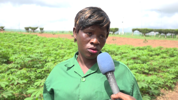 Côte d’Ivoire: Viviane, a young graduate swearing by agriculture to achieve her dreams